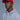 LION BASEBALL CAP
