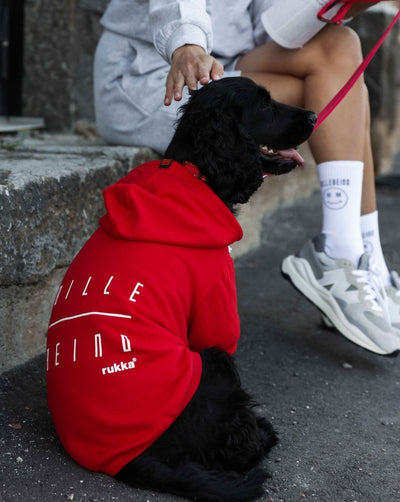 HAZY HOODIE SIZE 50